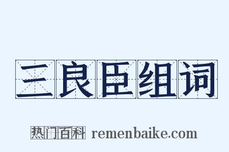 三良臣组词是什么意思的图片